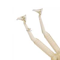 TDV DENTAL Contact Pro Kompozit �ekilendirme Aparat�