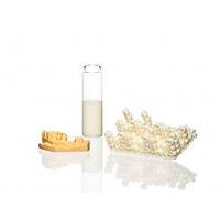 NEXTDENT 3D Yaz�c� Re�ine Nexdent C&B