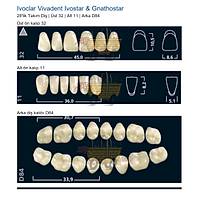 IVOCLAR Vivadent Ivostar & Gnathostar 28'lik Tak�m Di� - �st 32 Alt 11 Arka D84