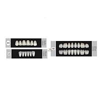 DENTURE Akrilik Di� 28 Lik Tak�m - 419-L3-N3  (Renk Se�iniz)
