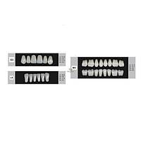 DENTURE Akrilik Di� 28 Lik Tak�m - G3-L6-M4  (Renk Se�iniz)