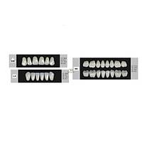 DENTURE Akrilik Di� 28 Lik Tak�m - 448-L8-N5  (Renk Se�iniz)