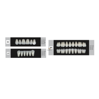 DENTURE Akrilik Di� 28 Lik Tak�m - E2-L5-M4  (Renk Se�iniz)
