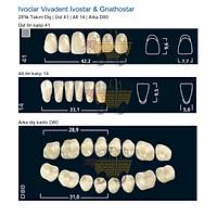 IVOCLAR Vivadent Ivostar & Gnathostar 28'lik Tak�m Di� - �st 41 Alt 14 Arka D80