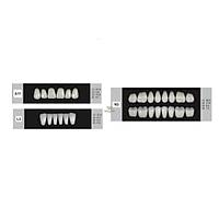 DENTURE Akrilik Di� 28 Lik Tak�m - A11-L3-N3  (Renk Se�iniz)