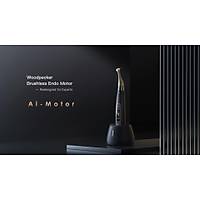 WOODPECKER Ai Motor Black Yoshi Terauchi Edition - Siyah Ai Motor
