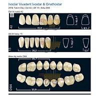 IVOCLAR Vivadent Ivostar & Gnathostar 28'lik Tak�m Di� - �st 42 Alt 15 Arka D84