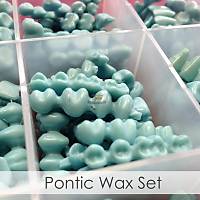 POLYWAX New Pontic in Box