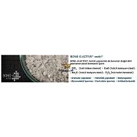 BONE-G Active Cam Greft (0,25-0,5 mm boyut aral���) 5,56 gr