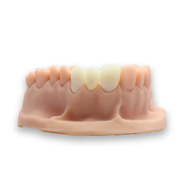 ALIAS Dental Temp C&B Ge�ici Kron K�pr� Re�inesi