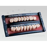 IVOCLAR VIVADENT SR Orthotyp S DCL 8'lik Posterior Di