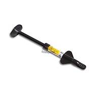 PENTRON Artiste Nano Kompozit Bleach Rengi