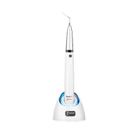 DTE Woodpecker Endo 1 - Ultrasonik Aktivat�r