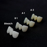 ALIAS Dental Temp C&B Ge�ici Kron K�pr� Re�inesi