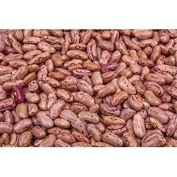 BARBUNYA LKS OVAL DKME