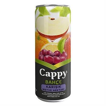 CAPPY KARIIK TNK 330 ML *12