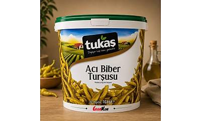 G�rsel 1