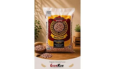G�rsel 1