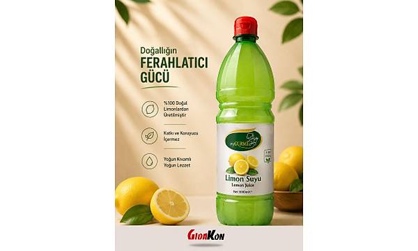 Gurme Limon Suyu 1L *12