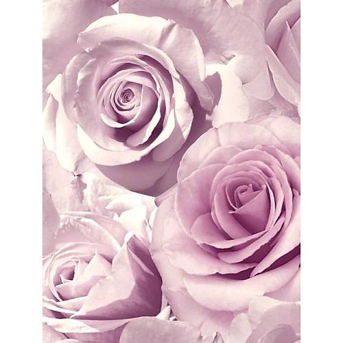 Classic Romance J367-06 Lila Gl Grnml Duvar Kad