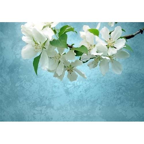 DL 4276 iekli Non Woven Duvar Posteri