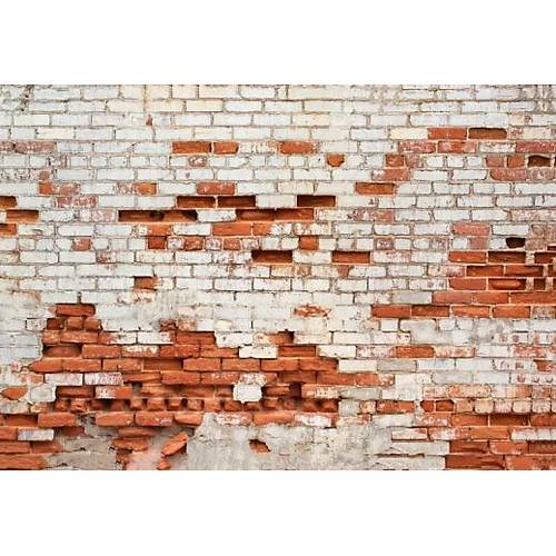 DL 4383 Eskitme Tula Grnml Duvar Posteri