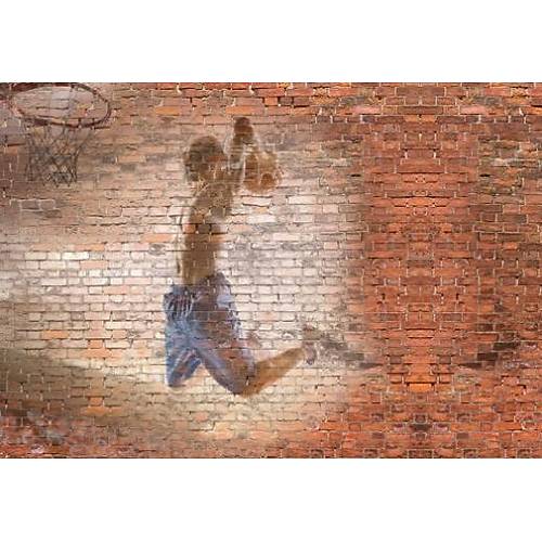 DL 4420 Basketbol Duvar Posteri