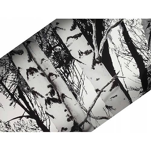D-c-fix 446-0611 Kavak Aa Desen Yapkanl Folyo (45cm x 2mt)