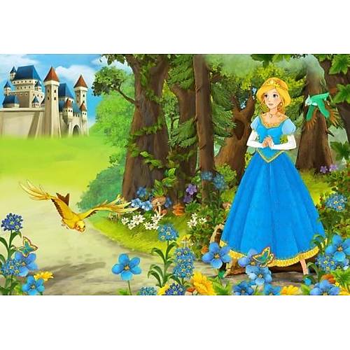 DL 4098 Prenses Çocuk Odası Duvar Posteri