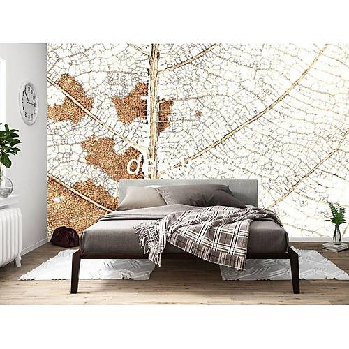 DL 7071 Yaprak Desenli Duvar Posteri