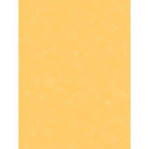 Jet Setter 8699EU Sarı Renkli Duvar Kağıdı