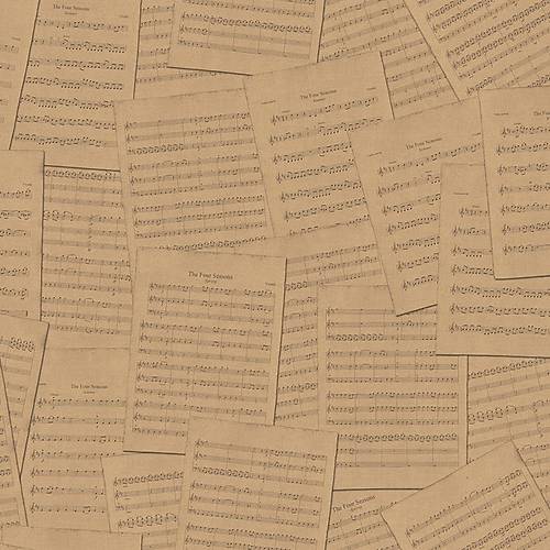 Freedom 14237-3 Gen Odas Duvar Kad