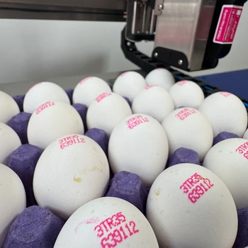 EP-111 Yumurta Kodlama Makinesi