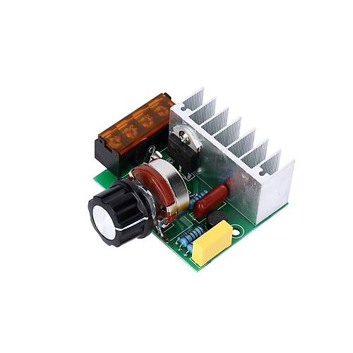 4000W AC Motor Hz Kontrol Devresi (Open Frame)