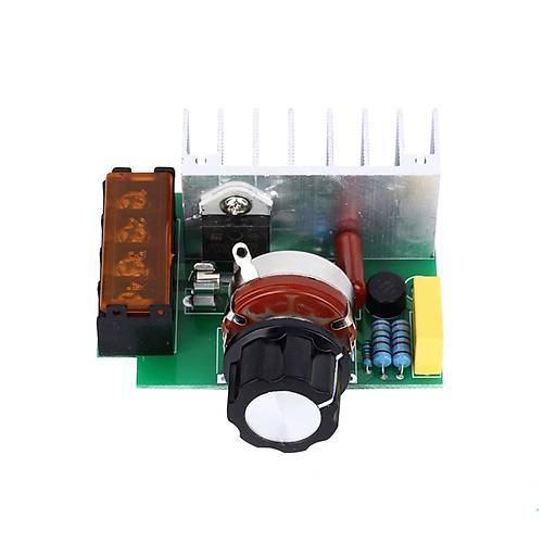 4000W AC Motor Hz Kontrol Devresi (Open Frame)