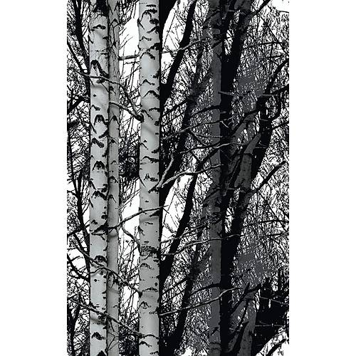 D-c-fix 200-3197 Sonbahar Dall Yapkanl Folyo 45cm x 1mt