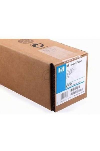 HP Coated Paper C6020B 4.5mil 90 g/mÂ² (24 lbs) 36 in x 150 ft