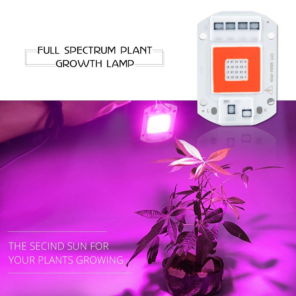 Tam Spektrum 50W 220V Yeni Nesil Bitki Büyütme Led Cob Çip