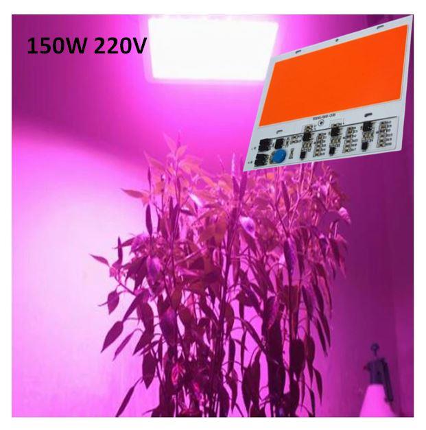 Tam Spektrum 380-840nm UV LED DOB Topraksız Tarım Bitki Büyütme 150W 220V 