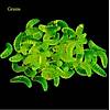 G�rsel 1