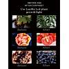 G�rsel 10