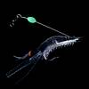 G�rsel 2