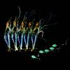 G�rsel 6
