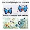 G�rsel 5