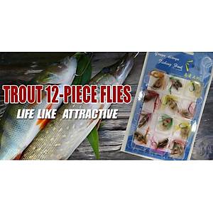 PROFISHER 12 Adet Sinek Bal�k��l��� Sazan T�y B�cek Yem Model C