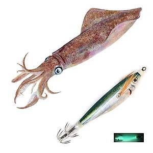 PROFISHER Kalamar Sahtesi 10cm Ye�il Elbiseli Fosforlu Sert Yem