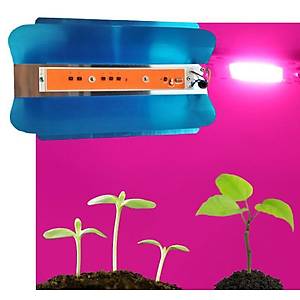 Tam Spektrum 50W 220V COB LED Chip �anak Bitki B�y�tme Fito I��k 