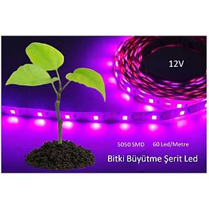Tam Spektrum Bitki B�y�tme 5050 SMD �erit Led 12V 380-780nm Topraks�z Tar�m 