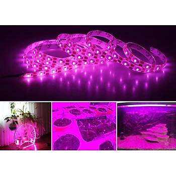 Tam Spektrum Bitki B�y�tme 5050 SMD WP �erit Led 12V 380-780nm Topraks�z Tar�m 