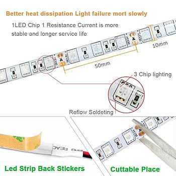 Tam Spektrum Hidrofonik Fito Sera Bitki Büyütme 5050 WP Şerit LED Işık 3 Red 1 Blue